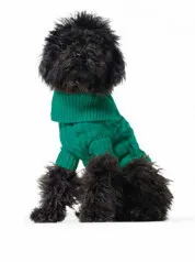 Benetton džemper za kuce xs 